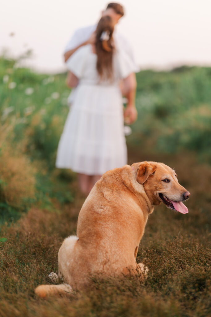 Narragansett RI Engagement Photography Session with dog