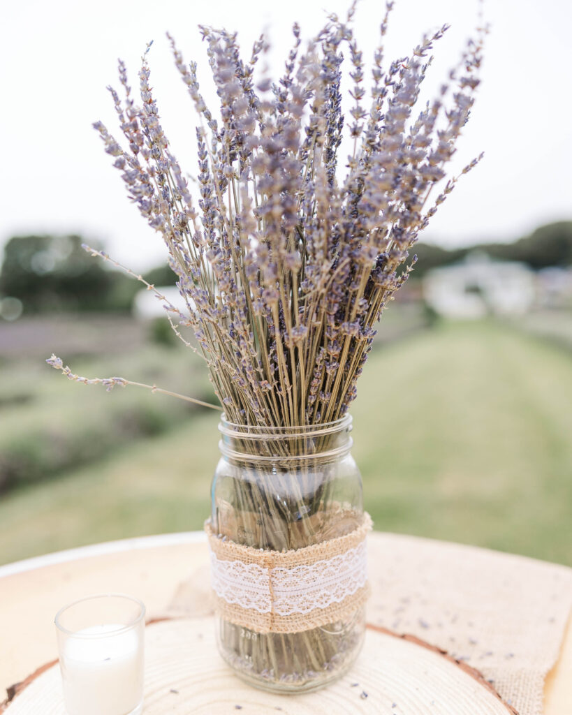 Lavendar Waves Farm centerpiece at an intimate wedding in Rhode Island